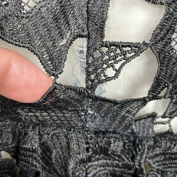 Rare Alice + Olivia Guipure Embroidered Lace Dress Fit Flare Mini Black Cream 8 - Picture 14 of 15